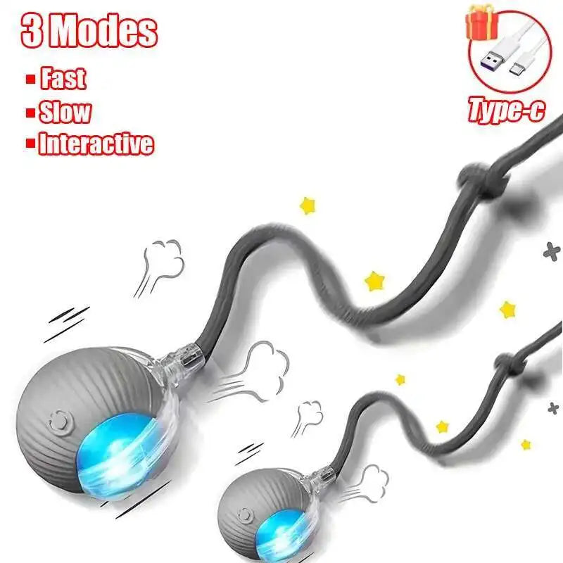 S29c462eafe31488aa3b3481d61255f98O