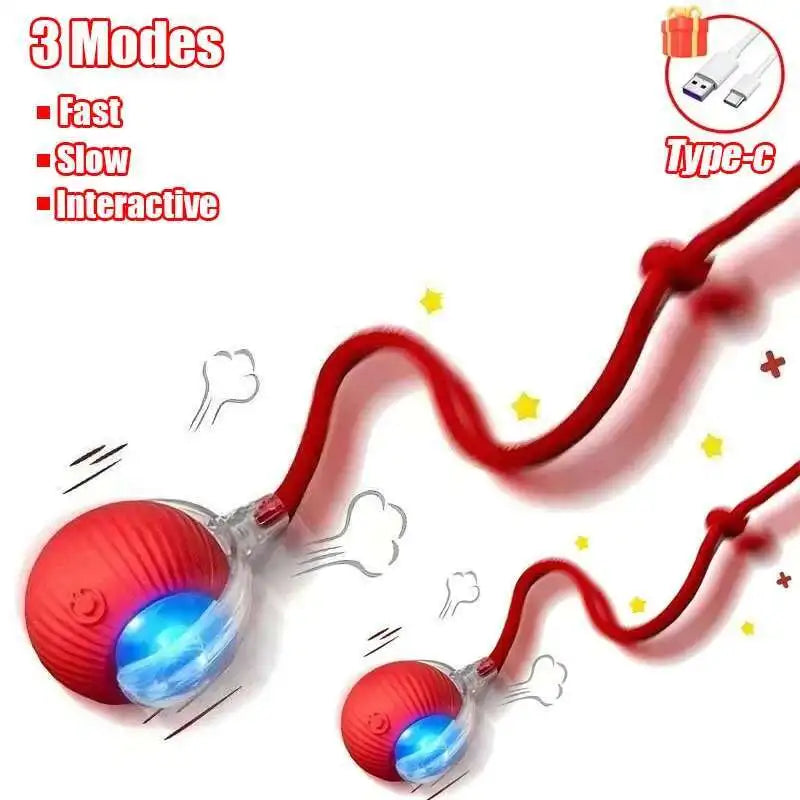 S55dc663a47914b24bfc450b77fd38aabE